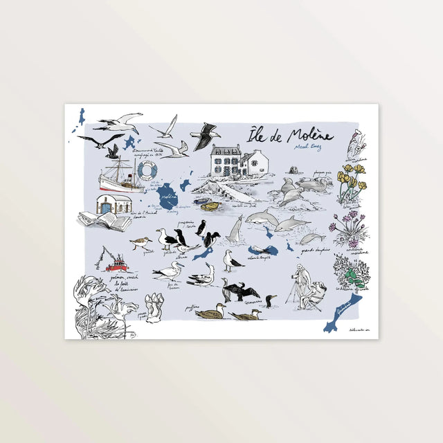 Affiche « Île de Molène » 40 x 30 cm : carte illustrée sur fond bleu gris, oiseaux, dauphins et maisons de l'île