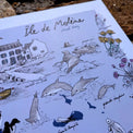 Détail de l'affiche Île de Molène : dauphins, oiseaux marins et fleurs sauvages dessinés à l'encre