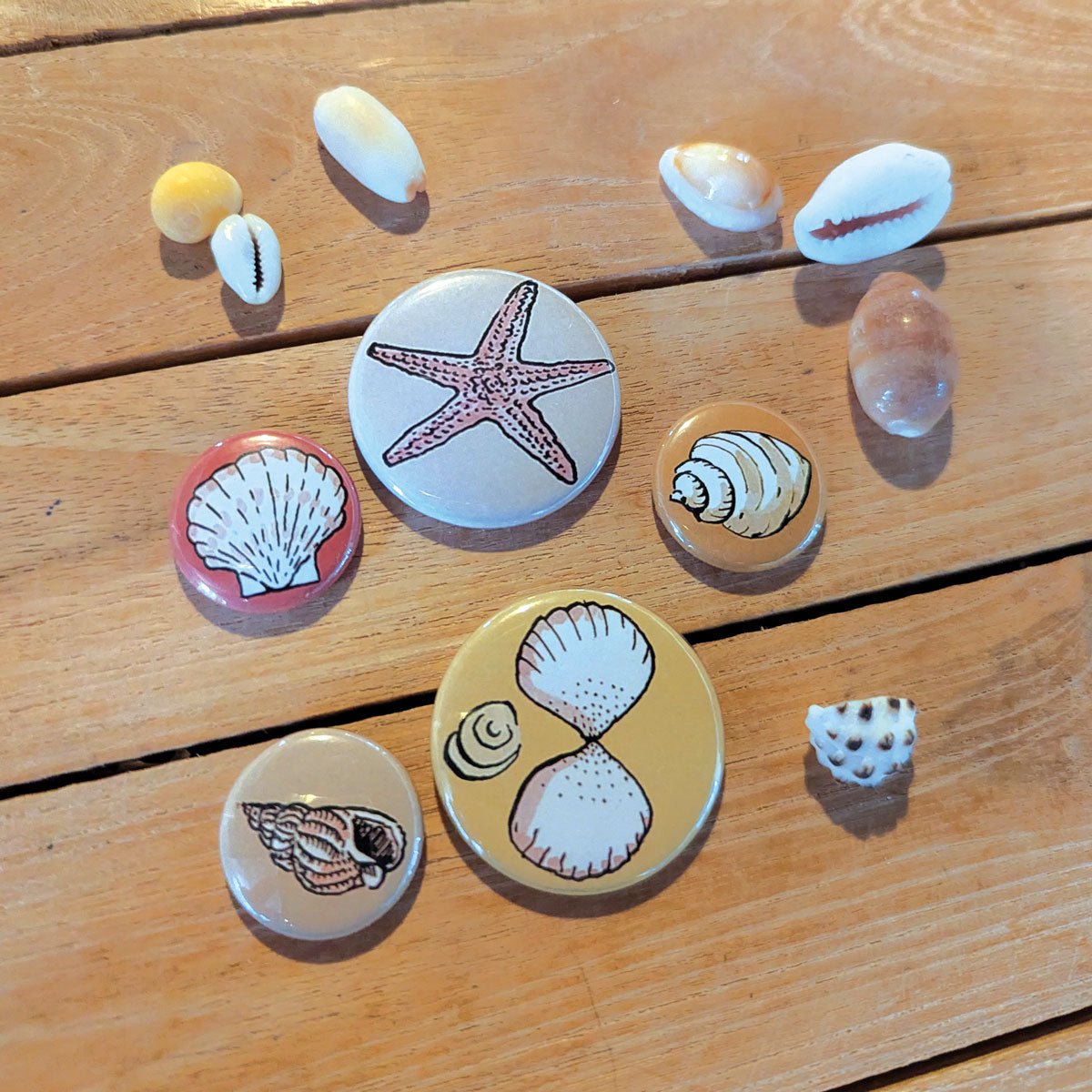 Magnets coquillages posés sur une table en bois parmi de vrais coquillages