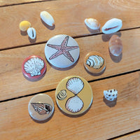 Magnets coquillages posés sur une table en bois parmi de vrais coquillages