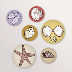 Jeu de 6 magnets ronds coquillages et étoile de mer, couleurs pastel