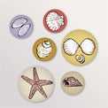Jeu de 6 magnets ronds coquillages et étoile de mer, couleurs pastel
