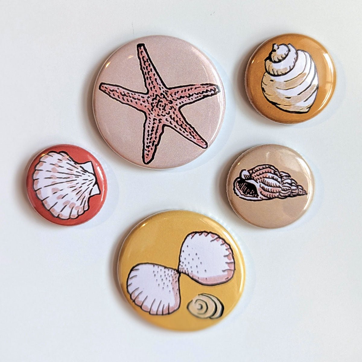 Jeu de 6 magnets ronds illustrés de coquillages et d'une étoile de mer