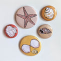 Jeu de 6 magnets ronds illustrés de coquillages et d'une étoile de mer