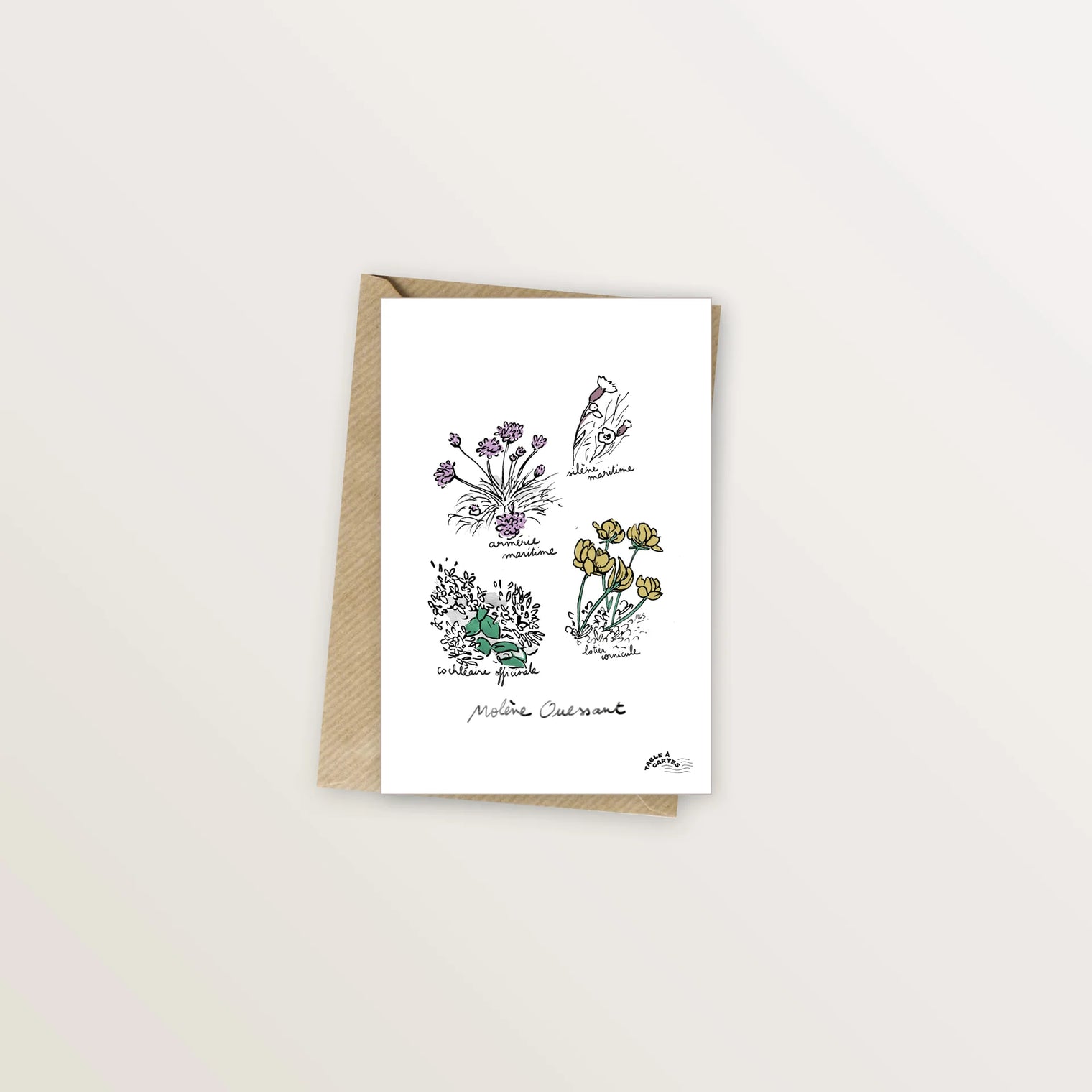 Carte postale fleurs de Molène