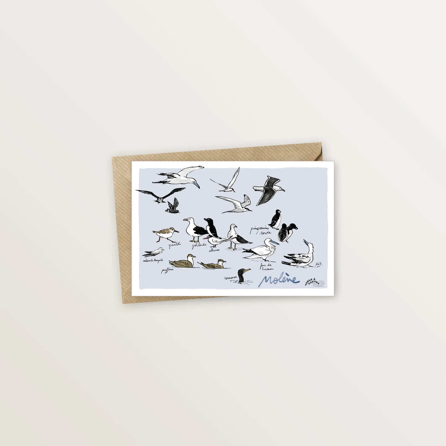 Carte postale des oiseaux de Molène