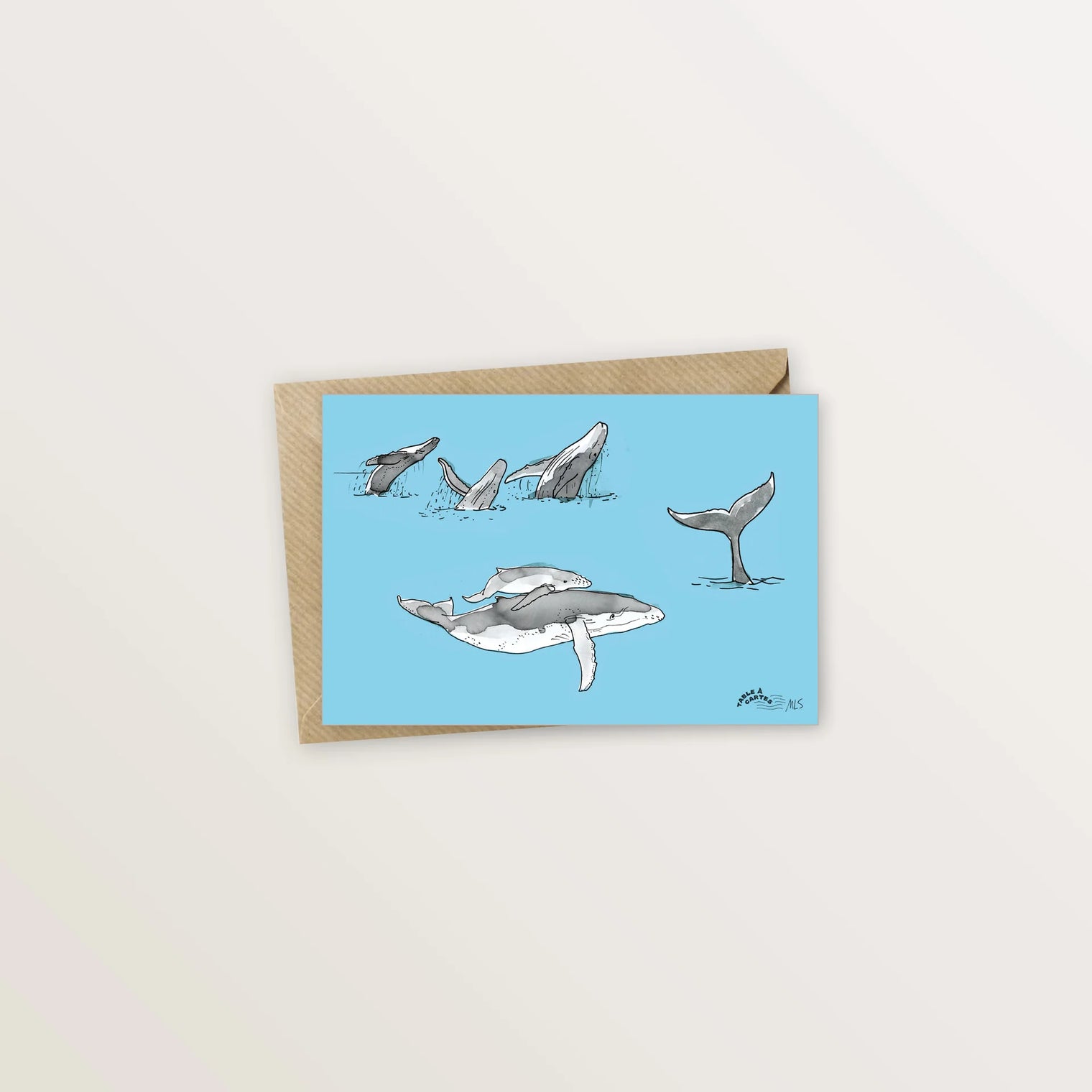 Carte postale de Moorea - Baleines