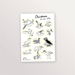 Planche de stickers A5 « Oiseaux de nos côtes » : macareux, fou de Bassan, avocette, aigrette et sternes