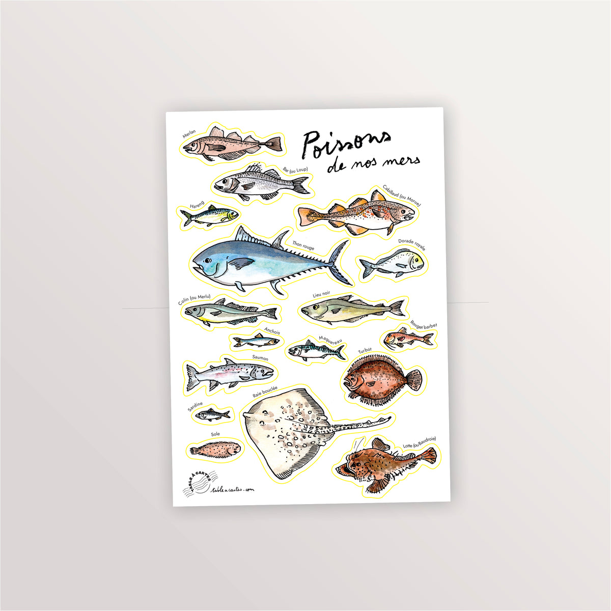 Planche de stickers A5 « Poissons de nos mers » : thon, raie, turbot, lotte et poissons côtiers aquarellés