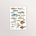 Planche de stickers A5 « Poissons de nos mers » : thon, raie, turbot, lotte et poissons côtiers aquarellés