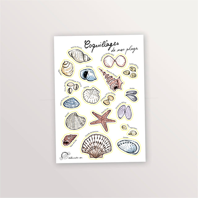 Planche de stickers Coquillages
