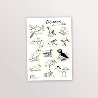 Planche de stickers Oiseaux de bord de mer