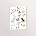 Planche de stickers Oiseaux de bord de mer