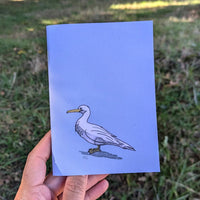Semainier carnet de poche perpetuel - Table à cartes
