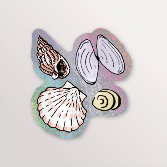 Sticker brillant - 4 coquillages