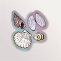 Sticker brillant - 4 coquillages
