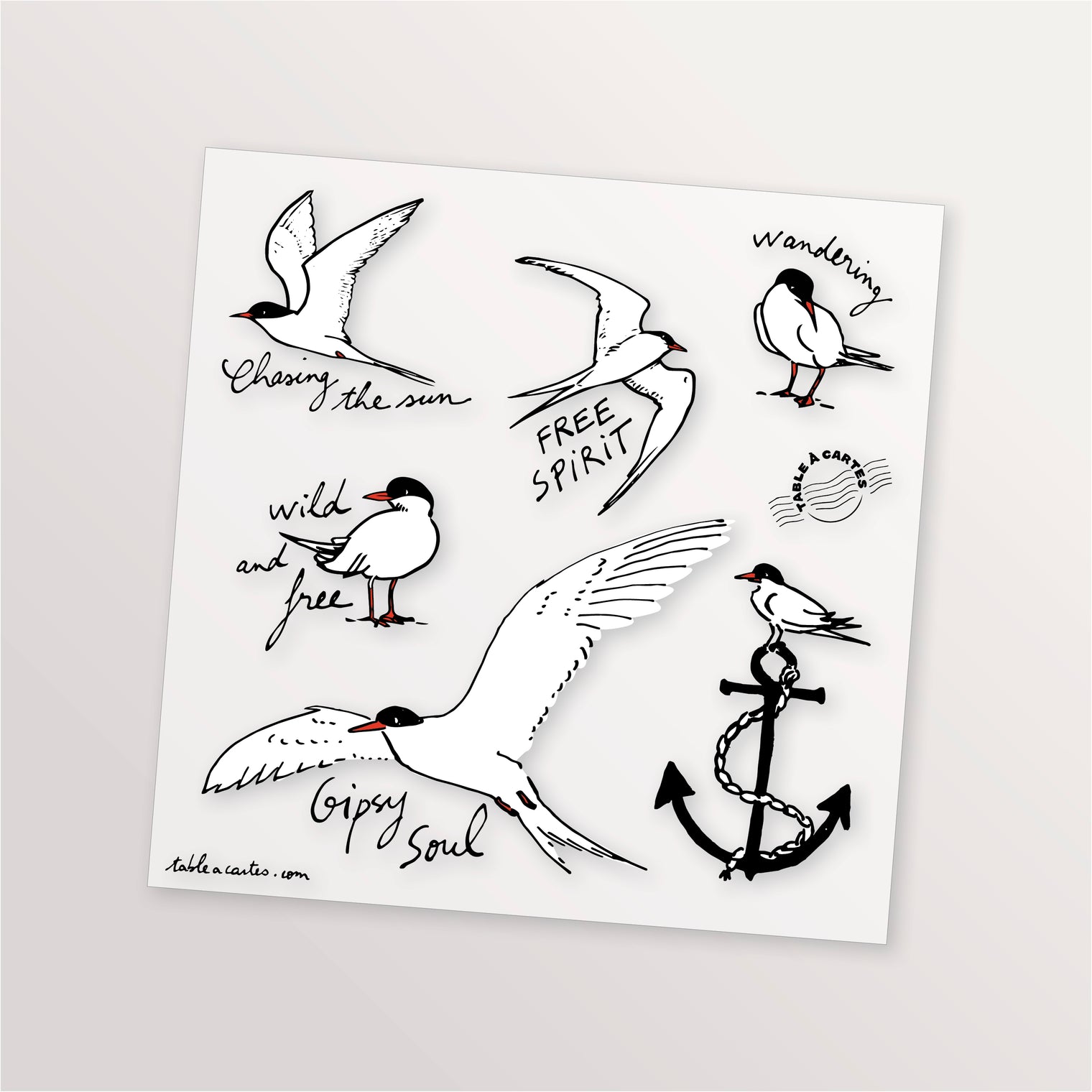 Planche de 6 tatouages éphémères - Sternes vagabondes