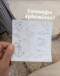 Planche de tatouages éphémères « Sternes vagabondes » tenue en main