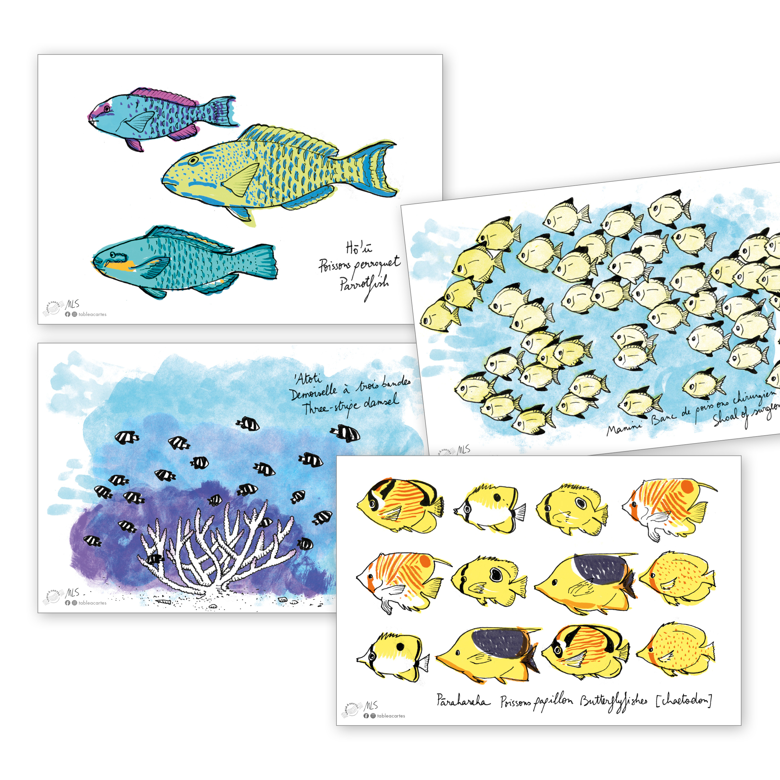 carte postale Poissons des lagons