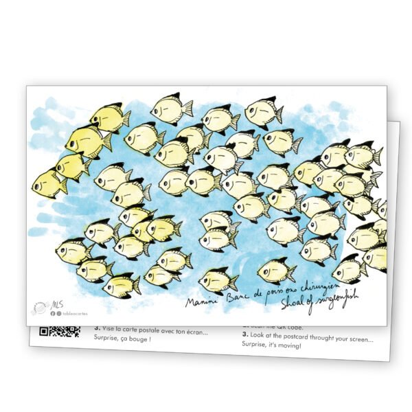 carte postale Poissons des lagons