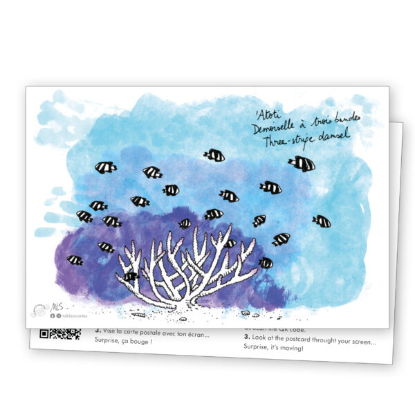 carte postale Poissons des lagons