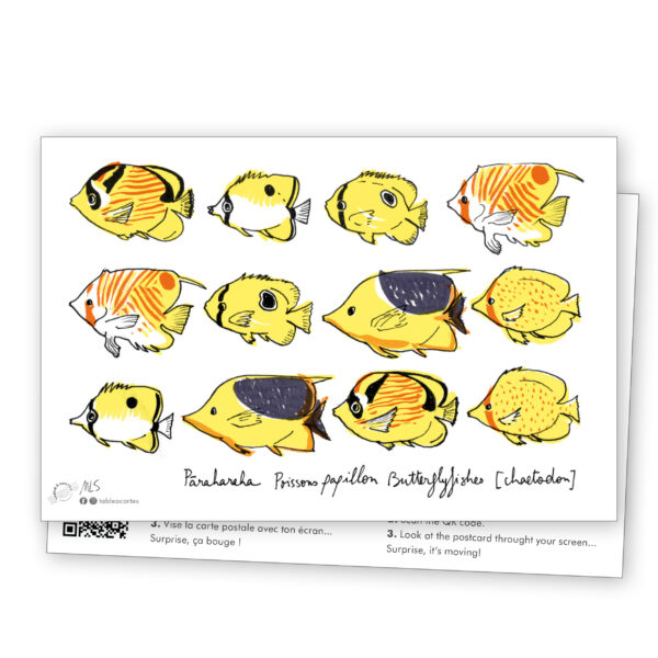 carte postale Poissons des lagons