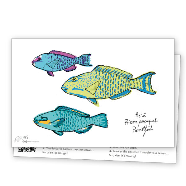 carte postale Poissons des lagons