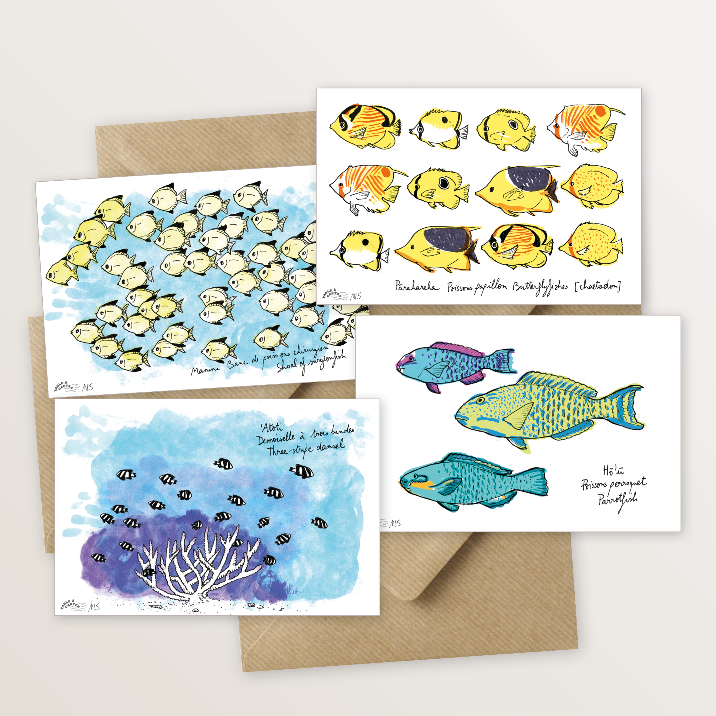 cartes postales poissons du lagon