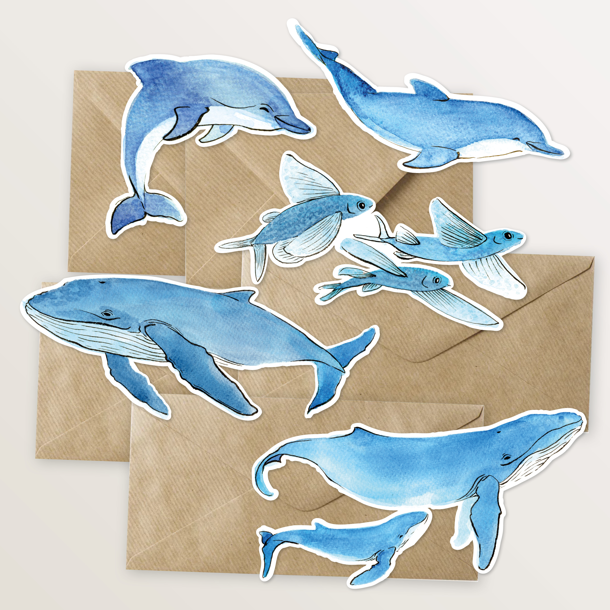 cartes illustration baleine