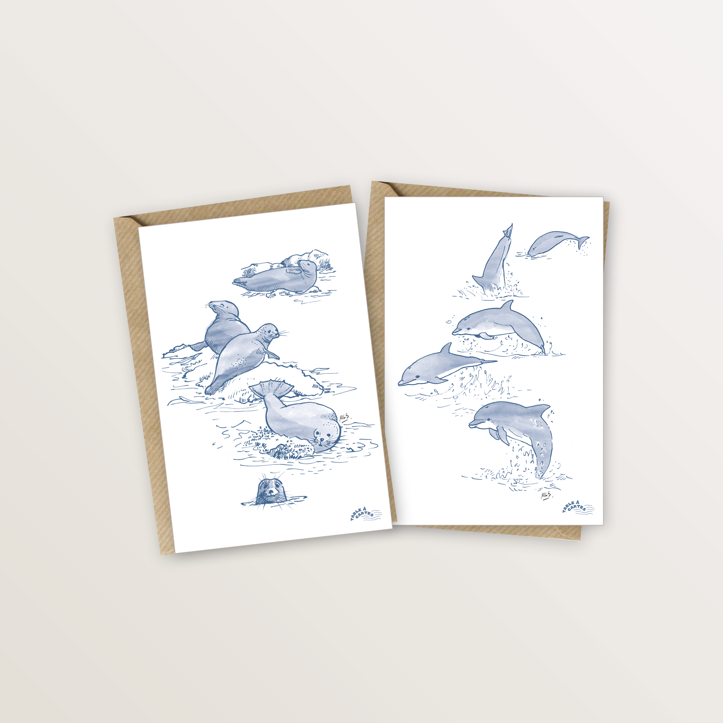 cartes dauphins phoques