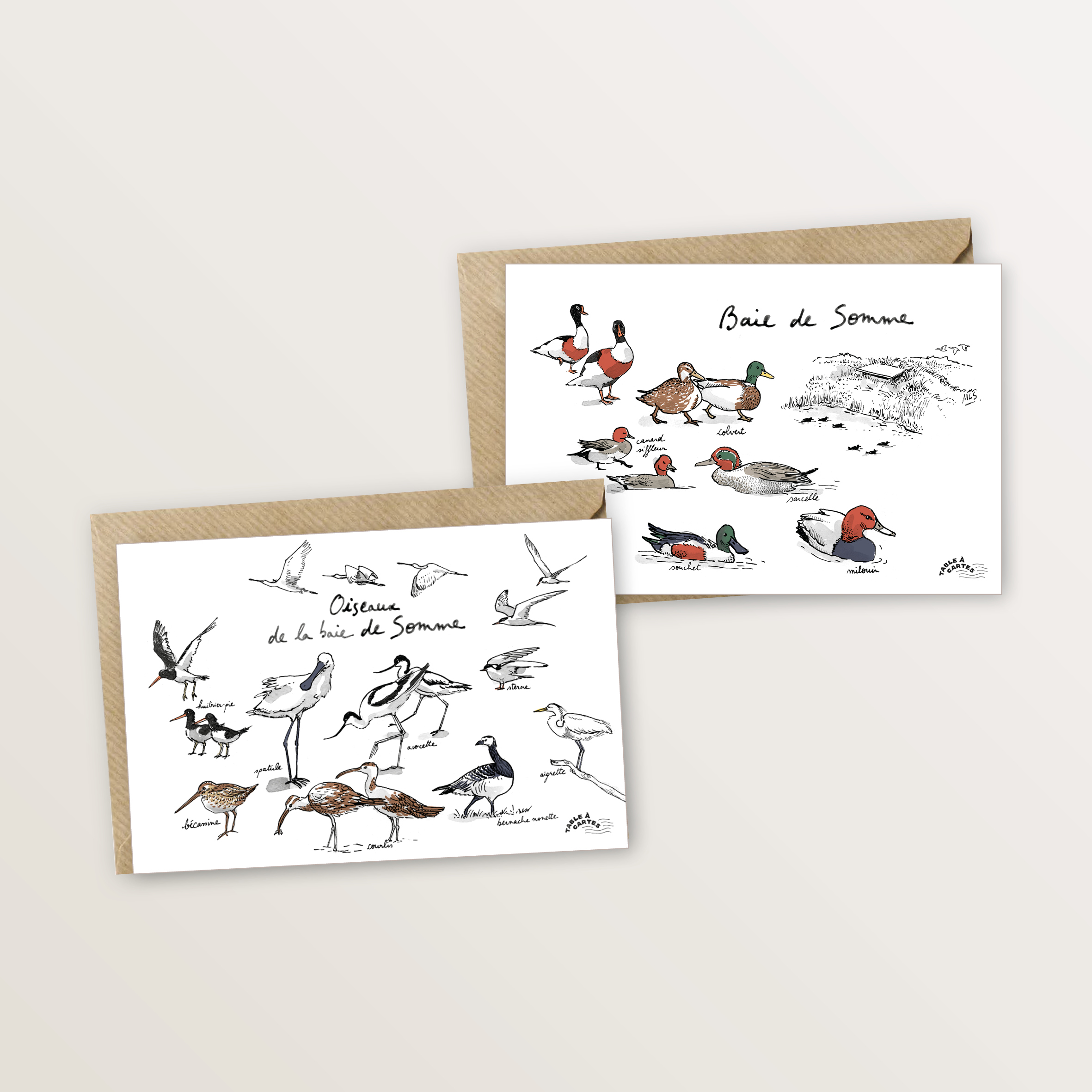 Baie de Somme oiseaux et canards